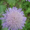 Picasa 3.0